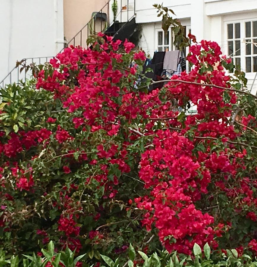 Flores ลิสบอน ภายนอก รูปภาพ
